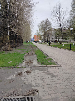 В Киселевске выбрано 5 территорий для благоустройства в 2027 году в рамках федерального проекта