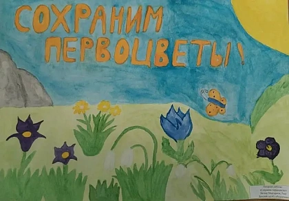 В Киселёвске подвели итоги экологической акции «Сохраним первоцветы Кузбасса!»